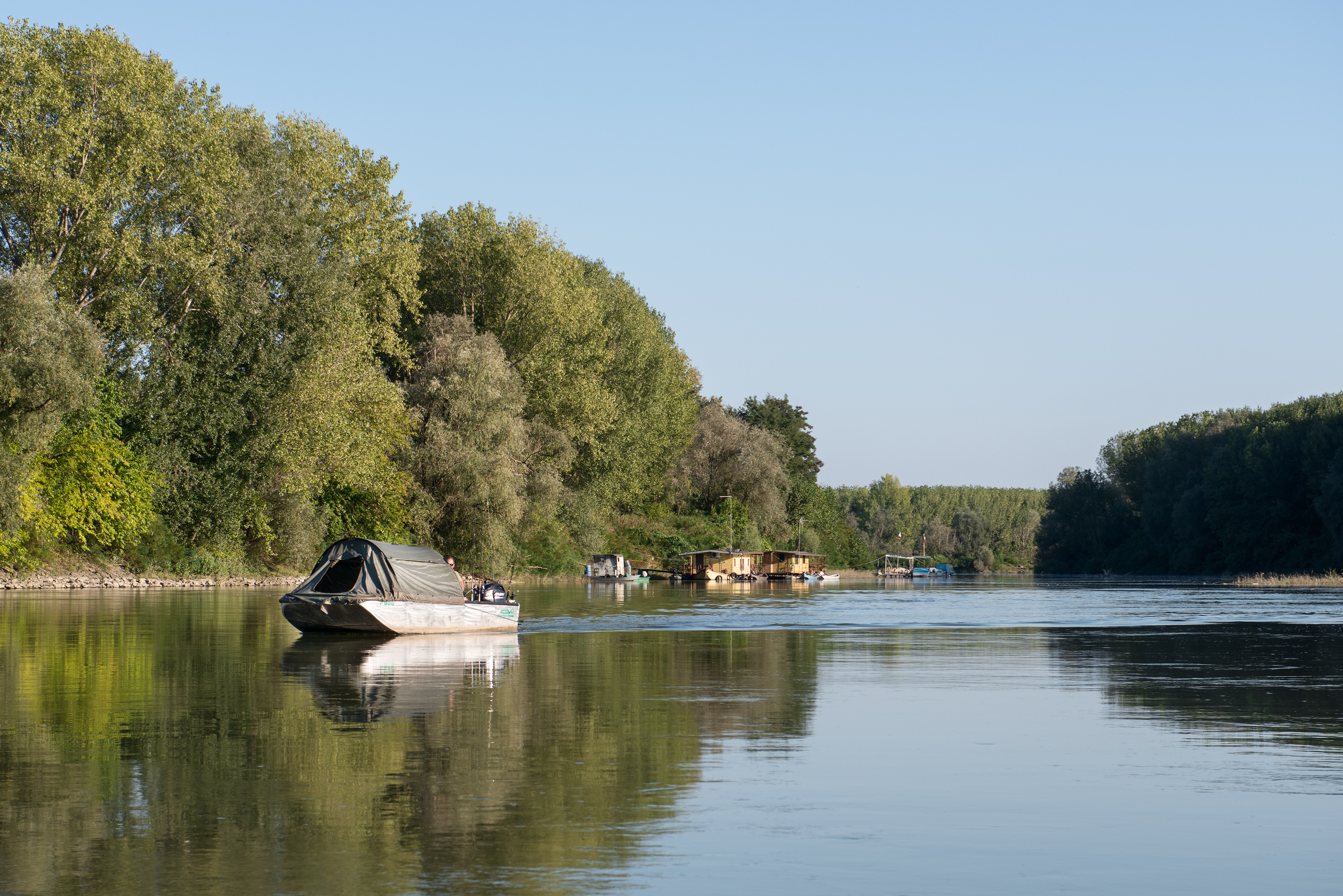 Wels-Boot auf dem Fluss. Foto: Max Intrisano
